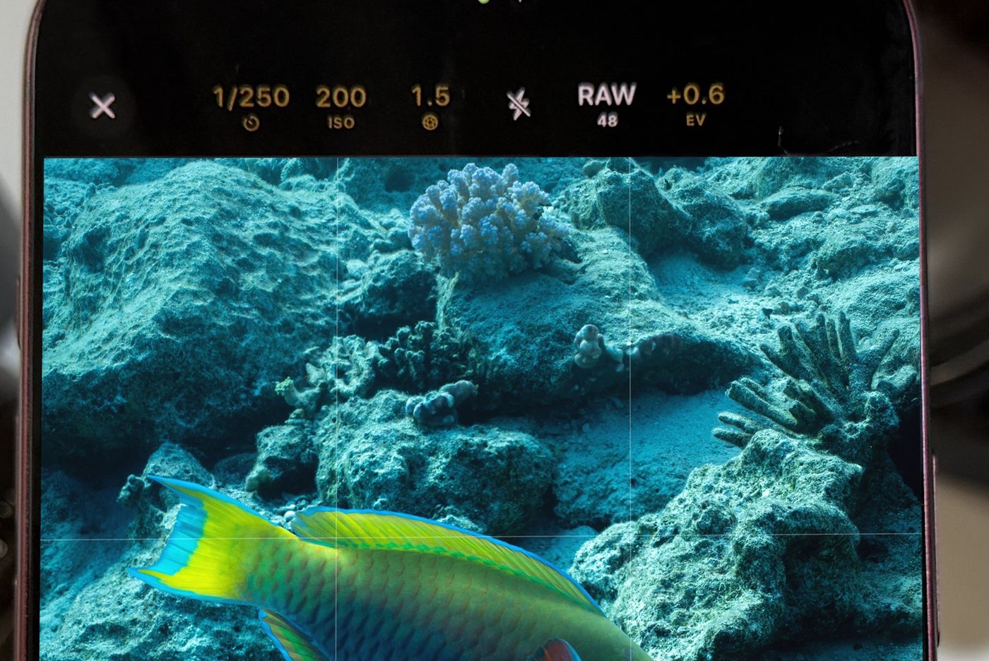 The top of the Diving Standard camera showing 1/250 s, ISO 200, f/1.5, RAW 48 and +0.6 EV over a parrotfish on a reef