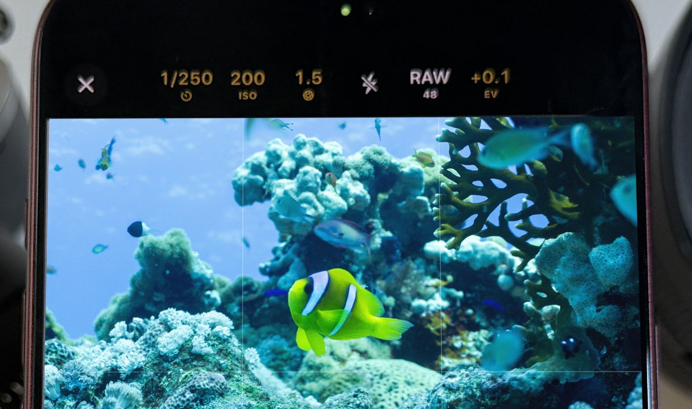 The Diving Standard camera on an iPhone 18 Pro Max showing 1/250 s, ISO 200, f/1.5 and RAW 48 above a coral reef in the viewfinder